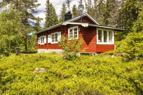 Bilde 1 av annonsen