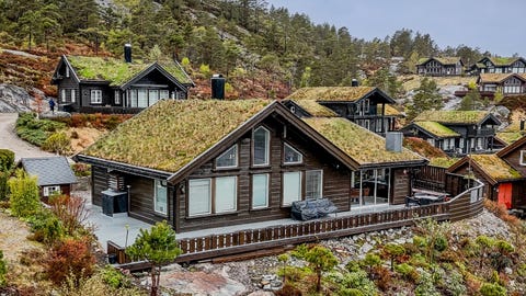 Bilde 1 av annonsen