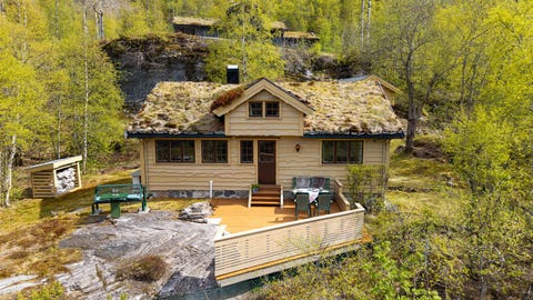 Bilde 1 av annonsen