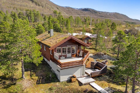 Bilde 1 av annonsen