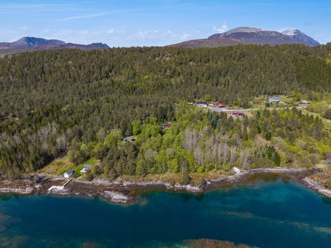 Bilde 2 av annonsen