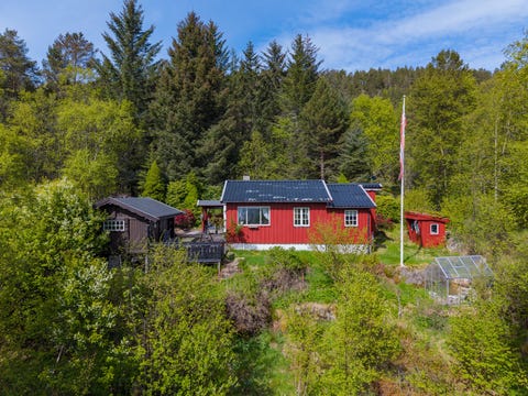 Bilde 1 av annonsen