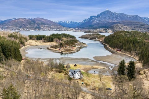 Bilde 1 av annonsen
