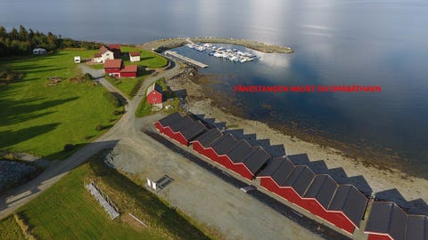 Bilde 1 av annonsen