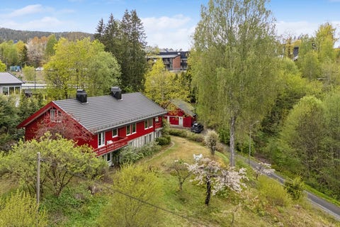 Bilde 1 av annonsen