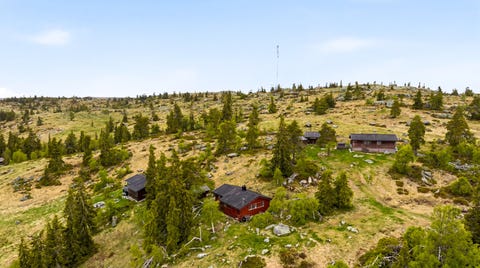 Bilde 1 av annonsen
