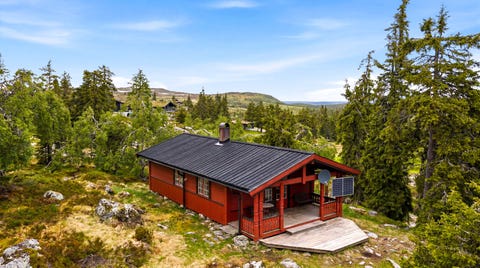 Bilde 2 av annonsen