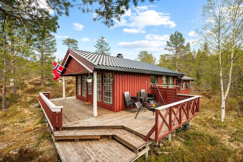 Bilde 1 av annonsen