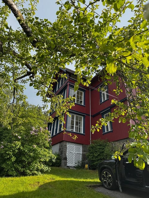Bilde 1 av annonsen