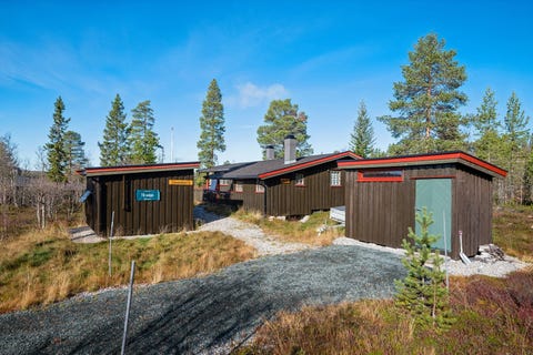 Bilde 1 av annonsen