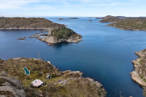 Bilde 1 av annonsen