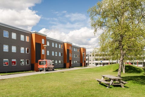 Bilde 1 av annonsen