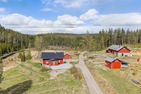 Bilde 1 av annonsen