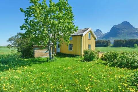 Bilde 1 av annonsen
