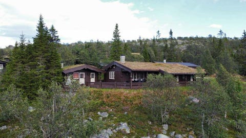 Bilde 1 av annonsen