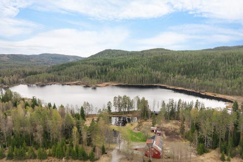 Odalsvegen 1555