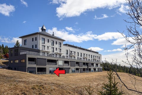 Bilde 1 av annonsen