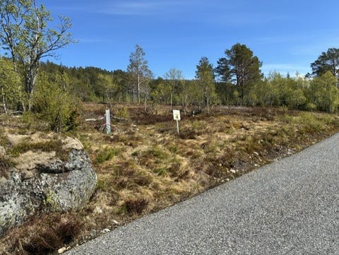 Bilde 1 av annonsen