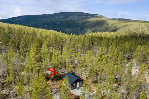 Bilde 1 av annonsen