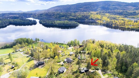 Bilde 1 av annonsen