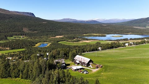 Bilde 1 av annonsen
