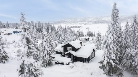 Bilde 2 av annonsen