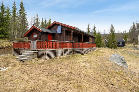 Bilde 1 av annonsen