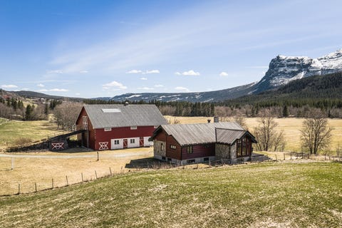 Bilde 1 av annonsen