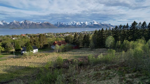 Bilde 2 av annonsen