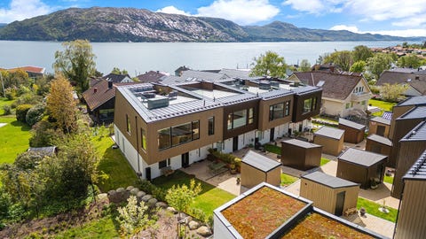 Bilde 1 av annonsen