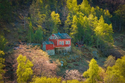 Bilde 2 av annonsen