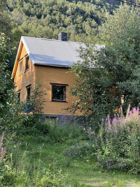 Bilde 2 av annonsen