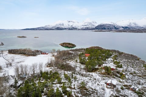 Bilde 1 av annonsen