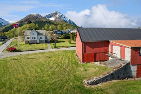 Bilde 1 av annonsen