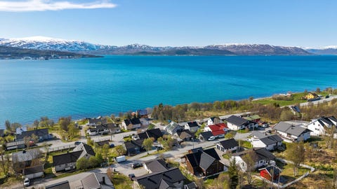 Bilde 1 av annonsen