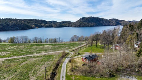 Bilde 1 av annonsen
