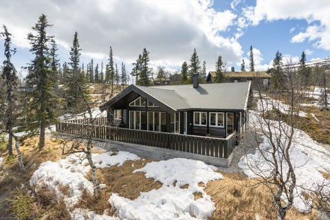 Bilde 1 av annonsen