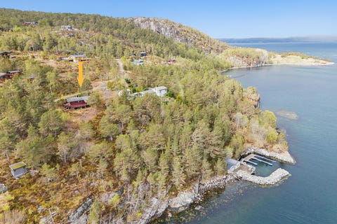 Bilde 1 av annonsen