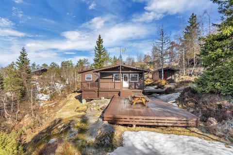 Bilde 1 av annonsen