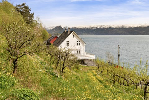 Bilde 2 av annonsen