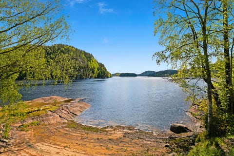 Bilde 2 av annonsen