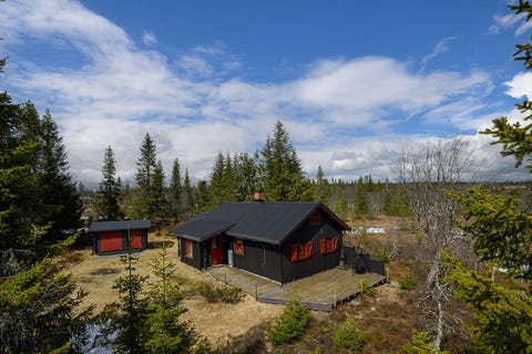 Bilde 1 av annonsen
