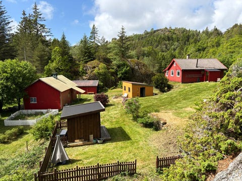 Bilde 1 av annonsen
