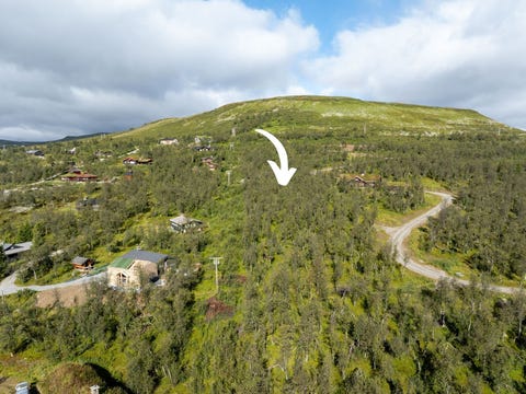 Bilde 2 av annonsen