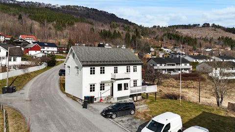 Bilde 1 av annonsen
