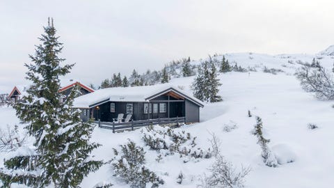 Bilde 2 av annonsen