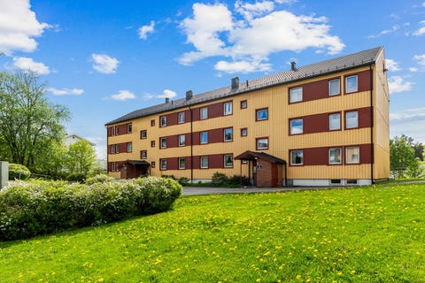 Bilde 1 av annonsen
