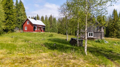 Bilde 1 av annonsen