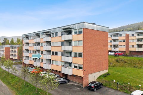 Bilde 1 av annonsen