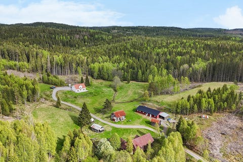 Bilde 1 av annonsen